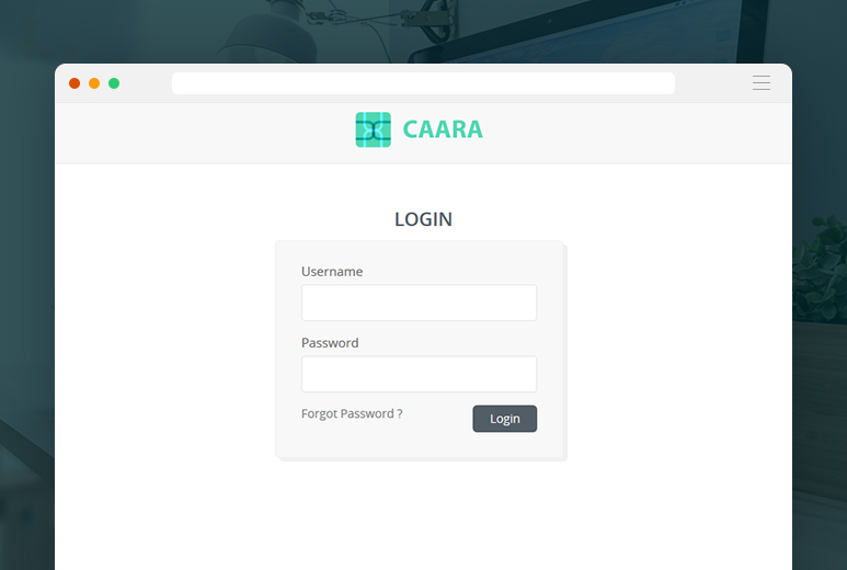 CAARA - A Secured Computer Assessment and Risk Analysis Application